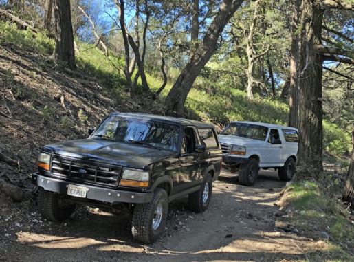 Bronco & F-150 Leveling Lift Kit with Radius Arms